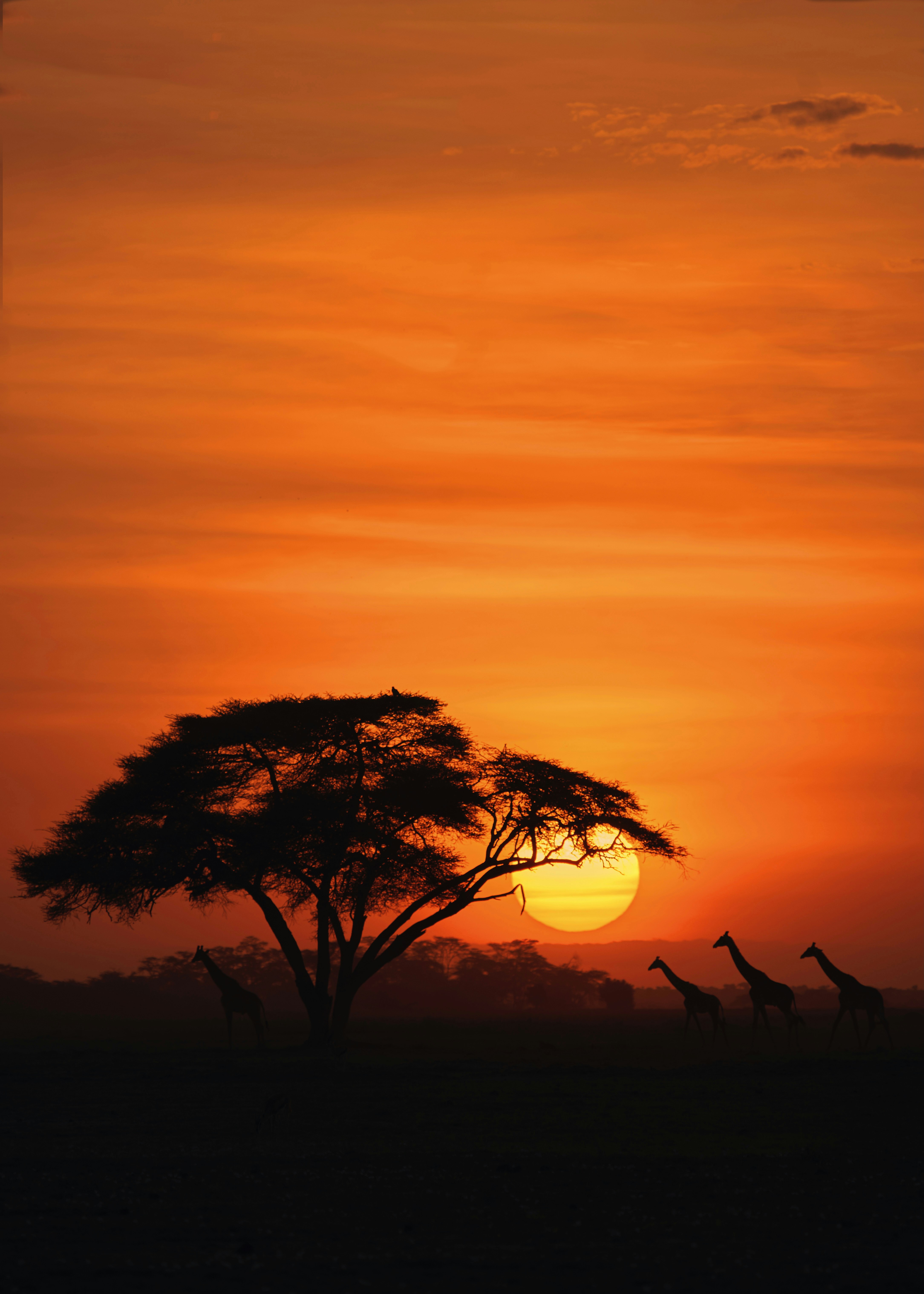 Kenya